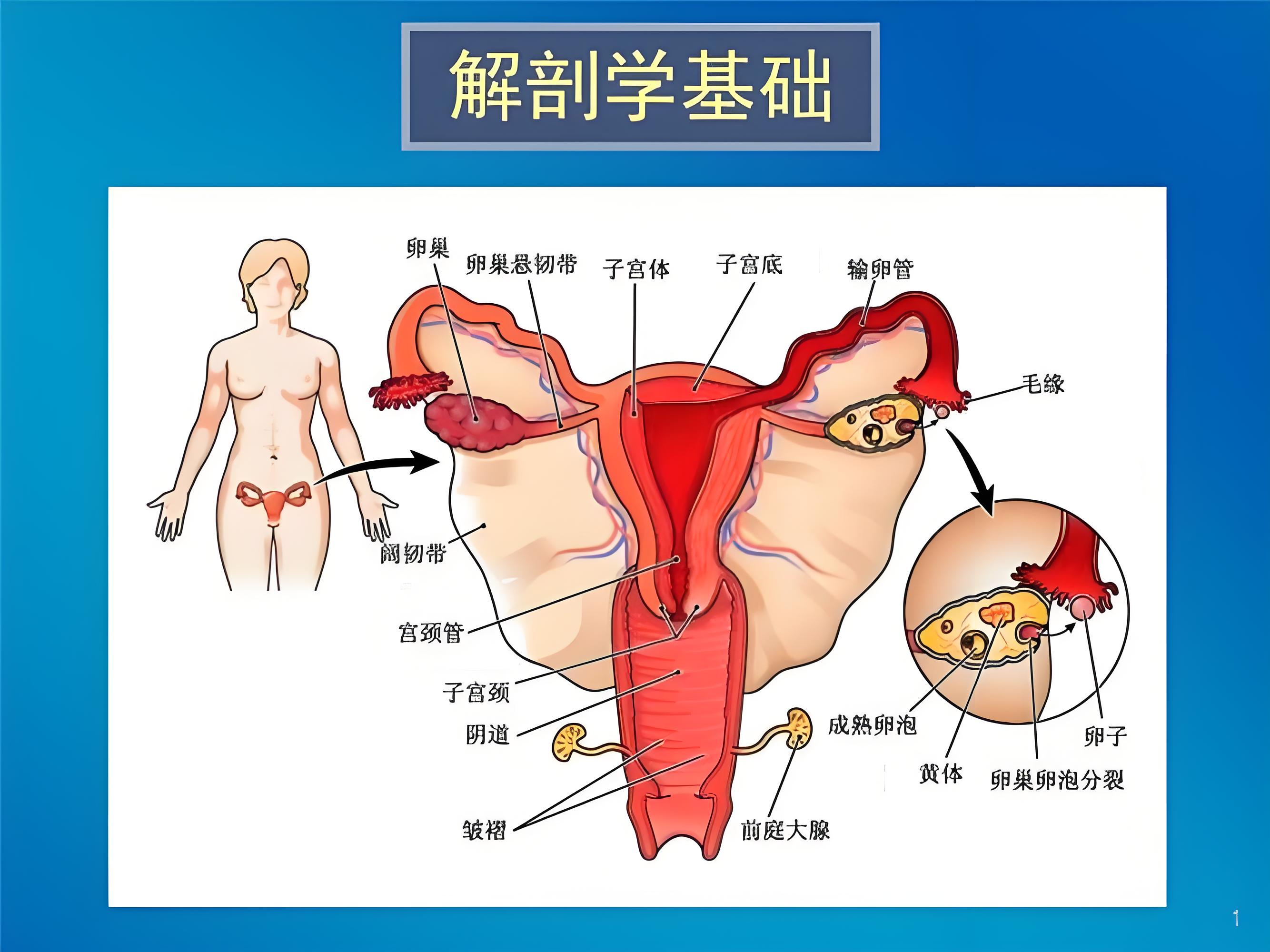 常见妇科病患及科学应对措施